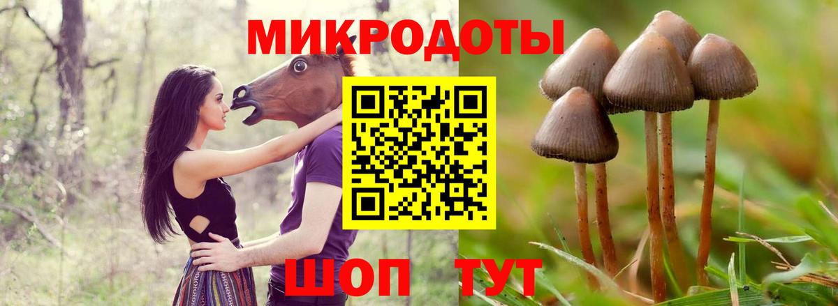 Северск  Галлюциногенные грибы мицелий  Вход с VPN  Галлюциногенные грибы мицелий 