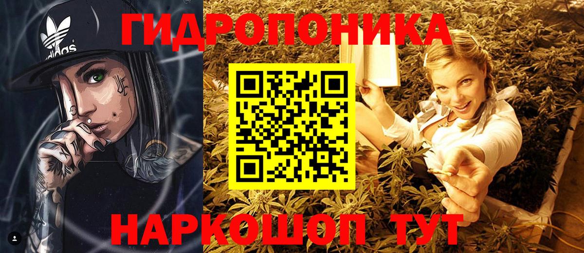 Бошки Шишки LSD WEED  МАРИХУАНА конопля  Северск  Бошки Шишки индика  Вход с VPN  Канабис ГИДРОПОН 